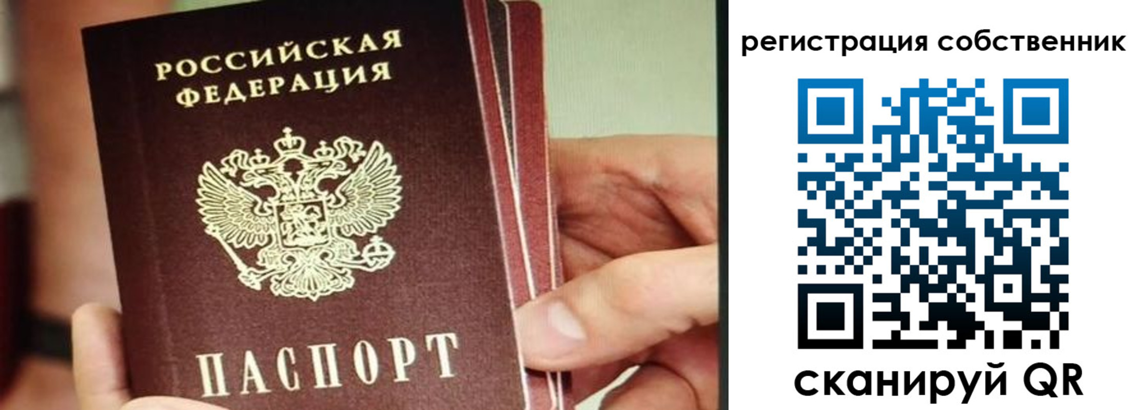 временная регистрация купить в Звенигово